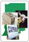 Capriole-Indiana