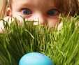 Easter at Vine & Table