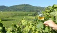 Emile Beyer Wines