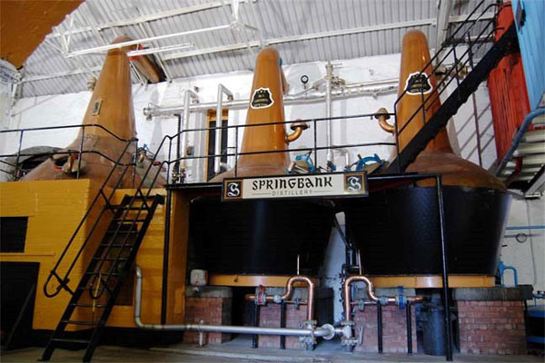 Springbank 10 Year Old Single Malt Scotch