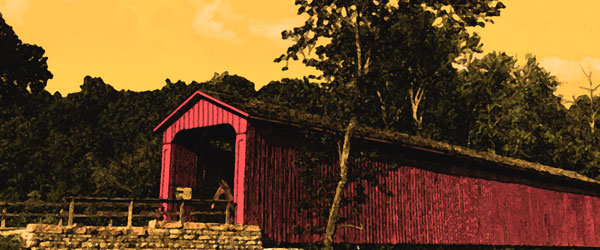 starlight-exclusive-barrel-email-banner